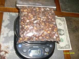 Roasted And Fresh Pinon Nuts Order Page